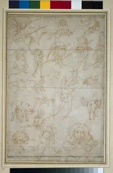 Studia groteskowe (recto), XV w. (pióro i bistre na papierze)